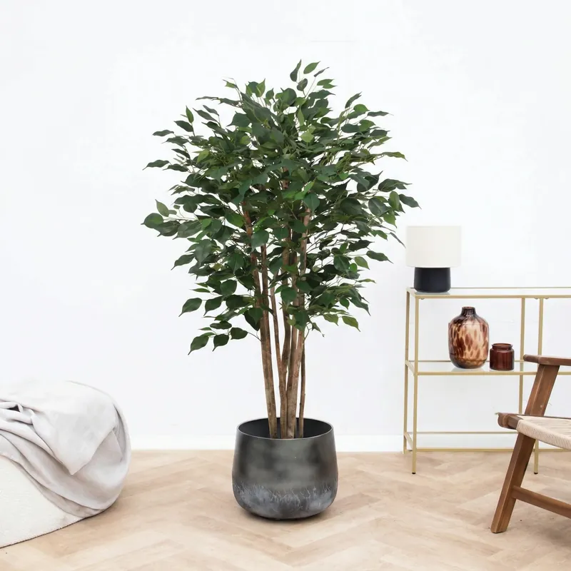 Kunst Ficus Benjamina - 150cm - Rechtstreeks van de fabrikant