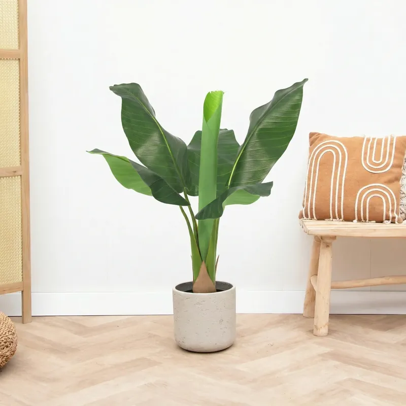 Kunst Bananenplant Musa - 80cm - Direct van de fabrikant