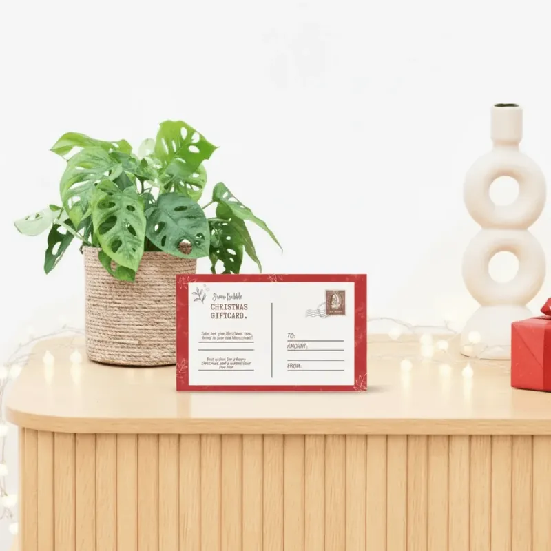 Bespaar meer | Monstera Monkey leaf inclusief mand Scott + kerst cadeaubon 50 euro