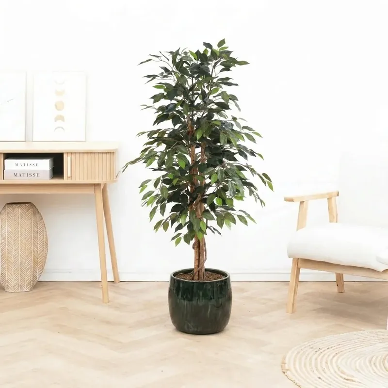 Kunst Ficus Benjamina - 130cm | Net gelanceerd