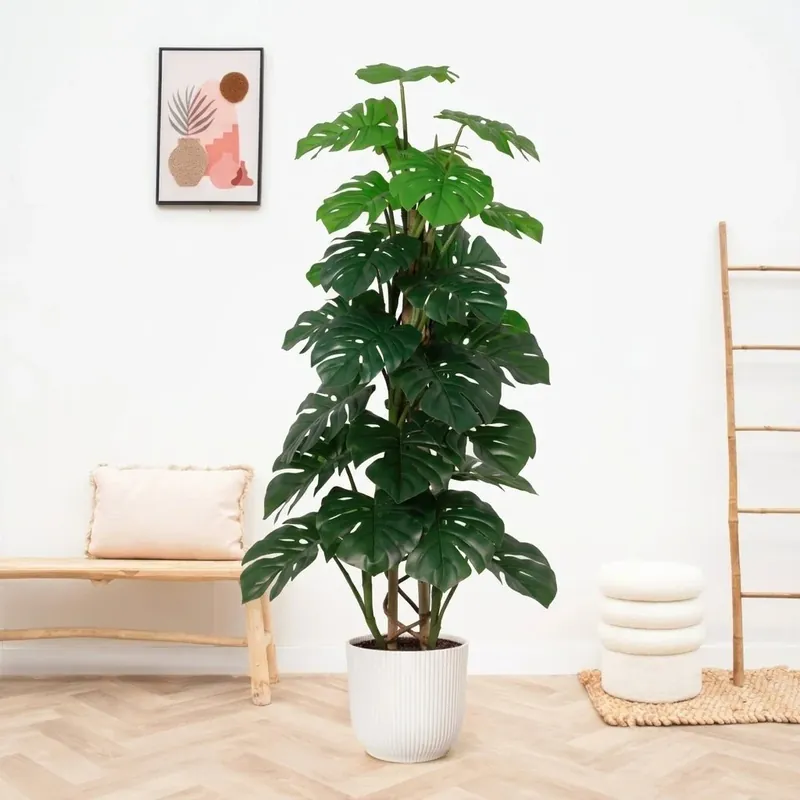 Kunst Monstera Monkey Leaf - 125cm | Direct beschikbaar