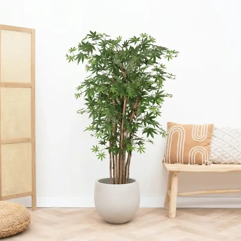 Kunst Acer - 150cm - Hoge kwaliteit