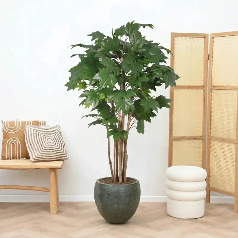 Vanaf nu beschikbaar | Kunst Maple tree - 150cm