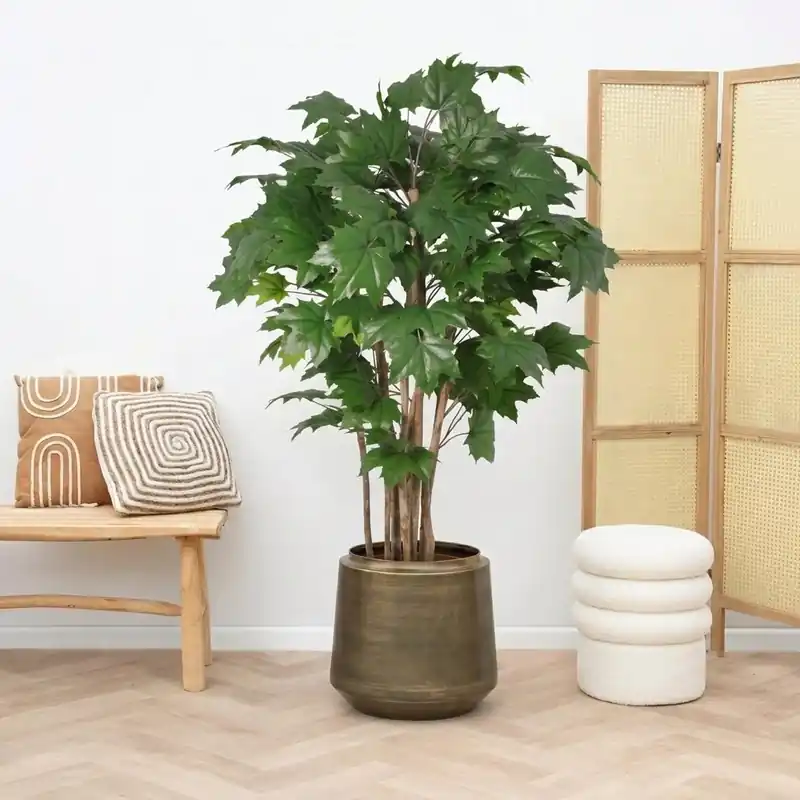 Premiumkwaliteit | Kunst Maple tree - 180cm