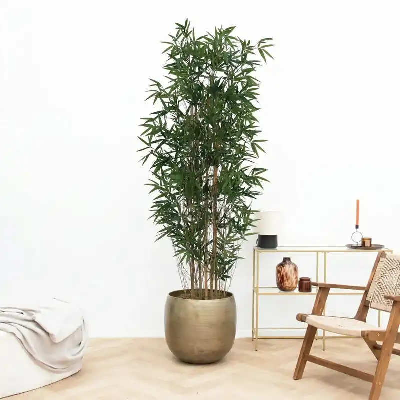 Dagdeal | Kunst Bamboe - 210cm
