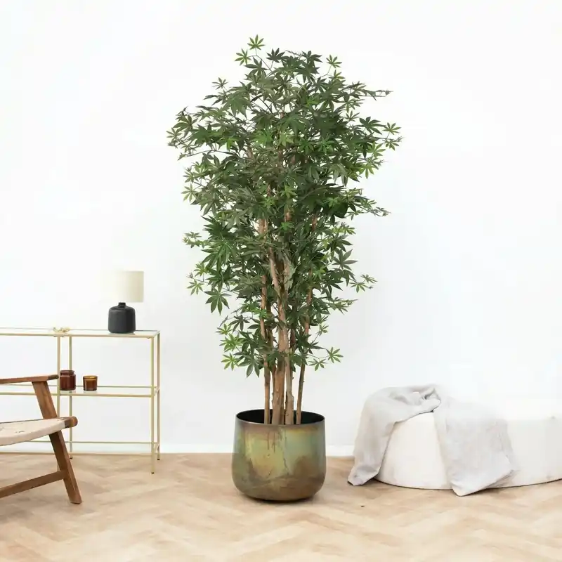 Superprijs - Kunst Acer palmatum - 180cm