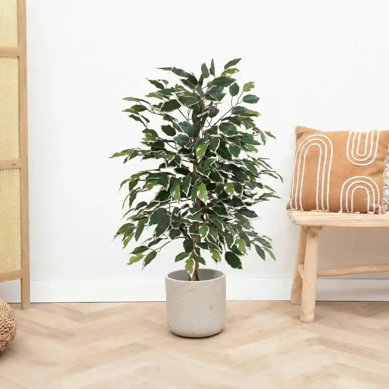 Voordeelprijs | Kunst Ficus benjamina variegata - 85cm