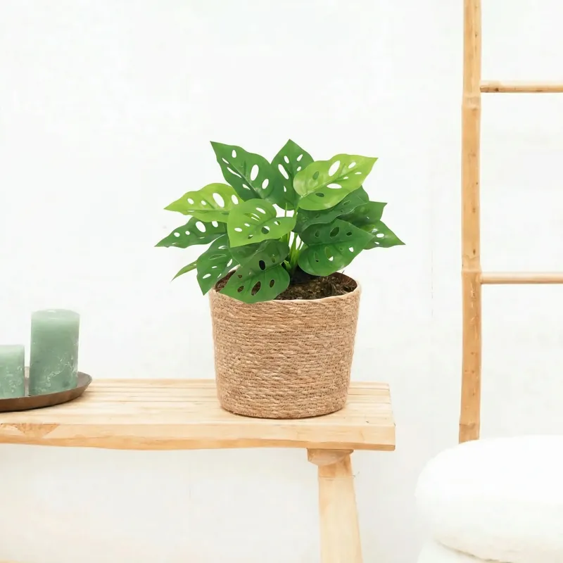 Kunst Monstera Monkey leaf - 22cm | Klaar voor verzending
