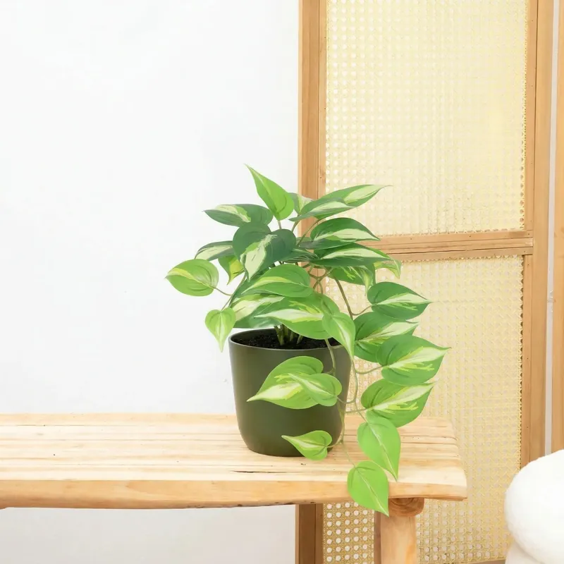 Kunst Epipremnum Variegata - 37cm - Nieuw in het assortiment