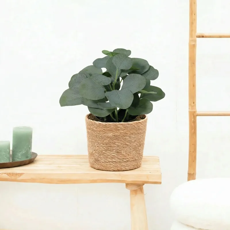 Bestel nu | Kunst Eucalyptus - 21cm