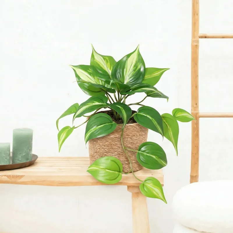 Hoge kwaliteit | Kunst Epipremnum Variegata - 23cm