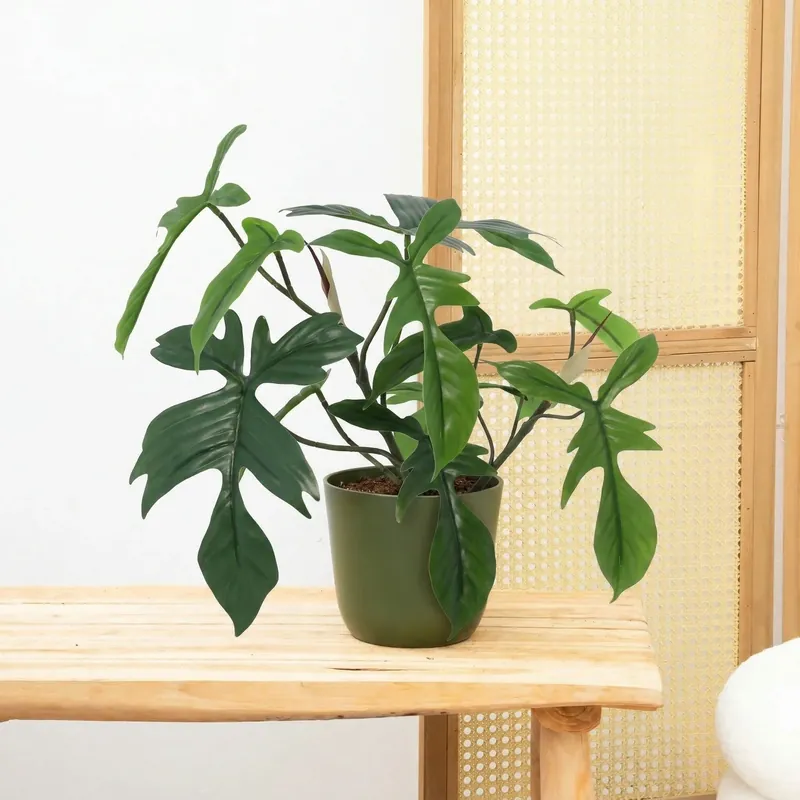 Kunst Philodendron Florida - 44cm | Online bestelbaar