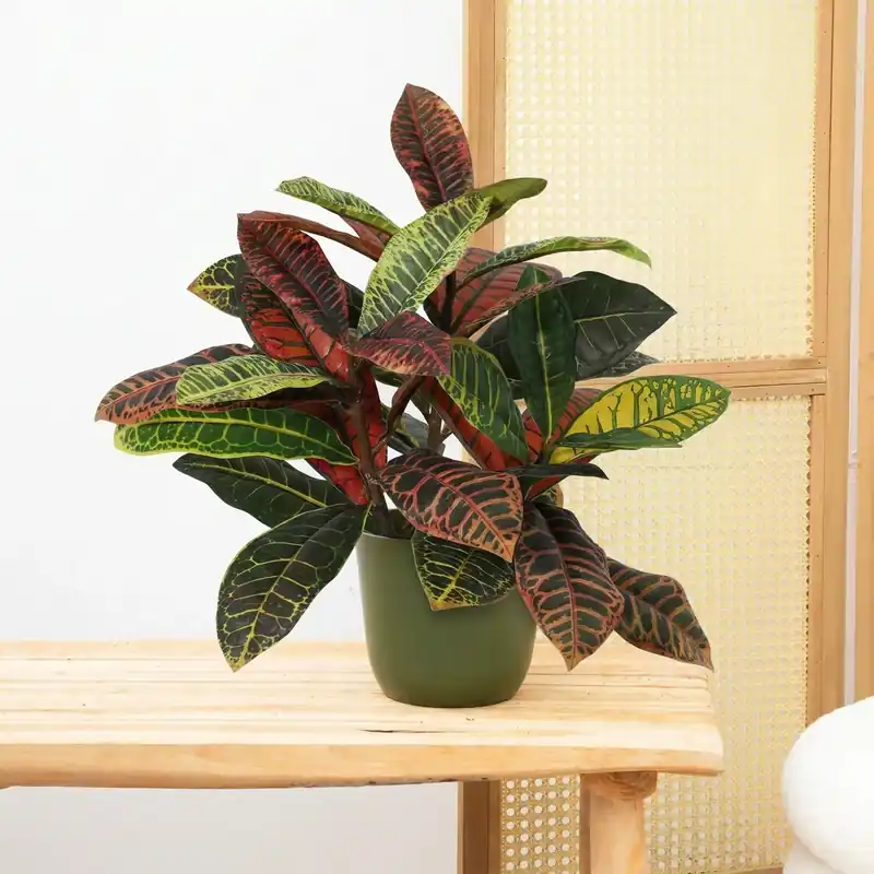 Rechtstreeks uit de fabriek | Kunst Croton codiaeum - 40cm