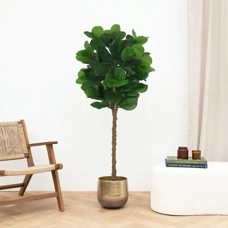 Kunst Ficus lyrata tree - 160cm - Koopje