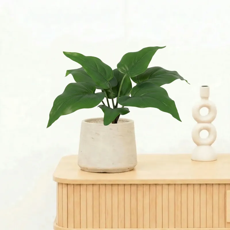 Direct van de fabrikant - Kunst Philodendron Imperial Green - 25cm
