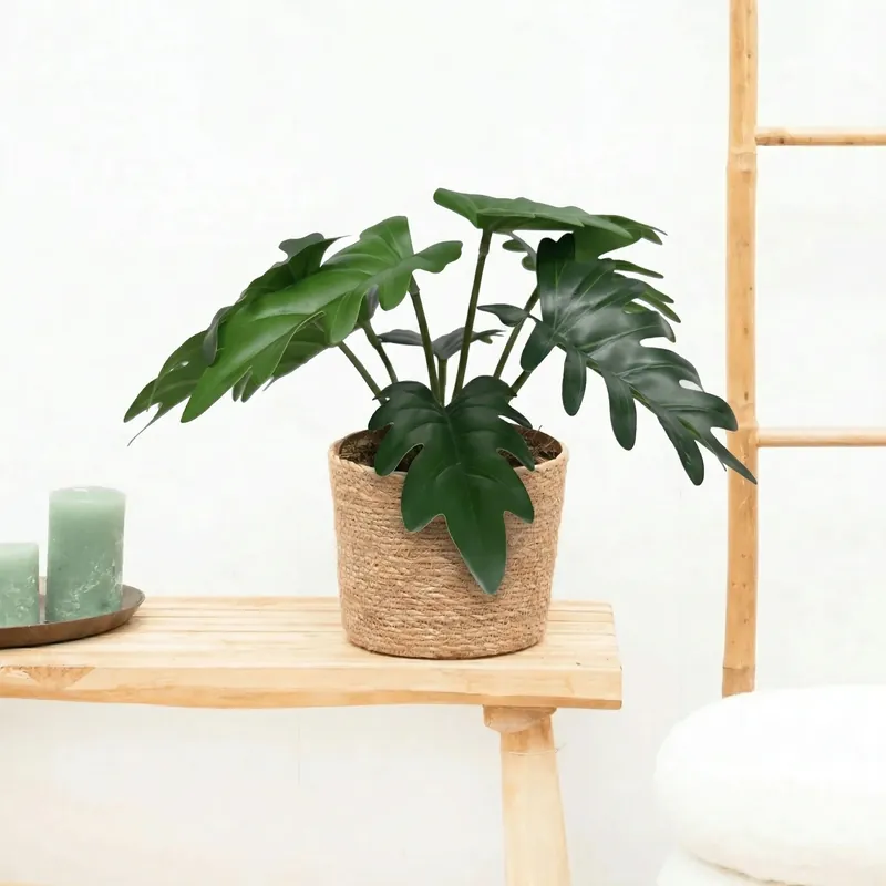 Kunst Philodendron Xanadu - 20cm | Veilige betaling
