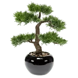 Veilige betaling - Cedar bonsai in pot - kunstplant