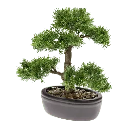 Flitsaanbieding - Cedar bonsai in schaal - kunstplant