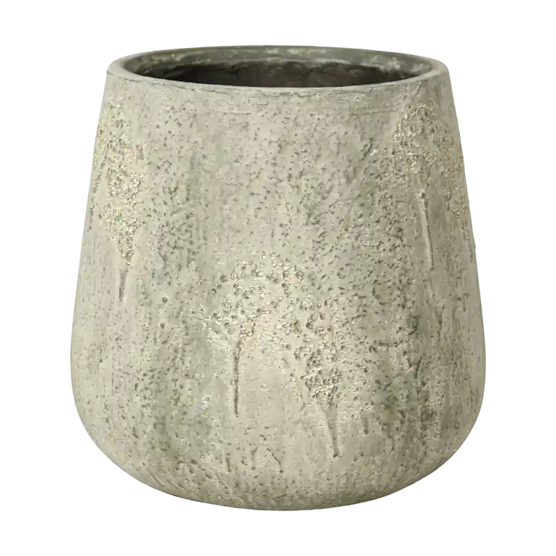 Flitsaanbieding - Oyster Pax Wit