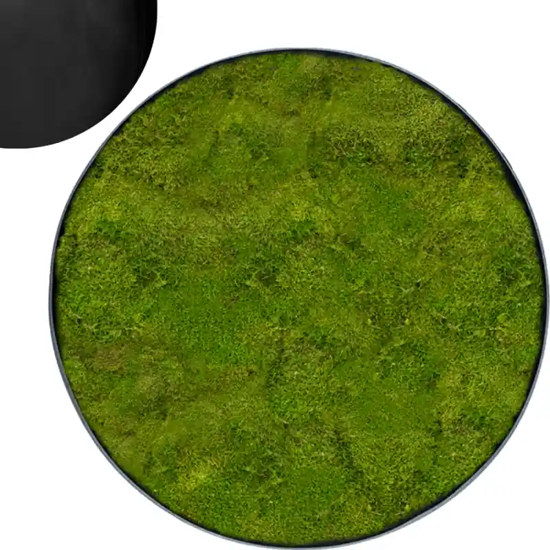 Populair | Mosschilderij Rond 100% Platmos Antraciet