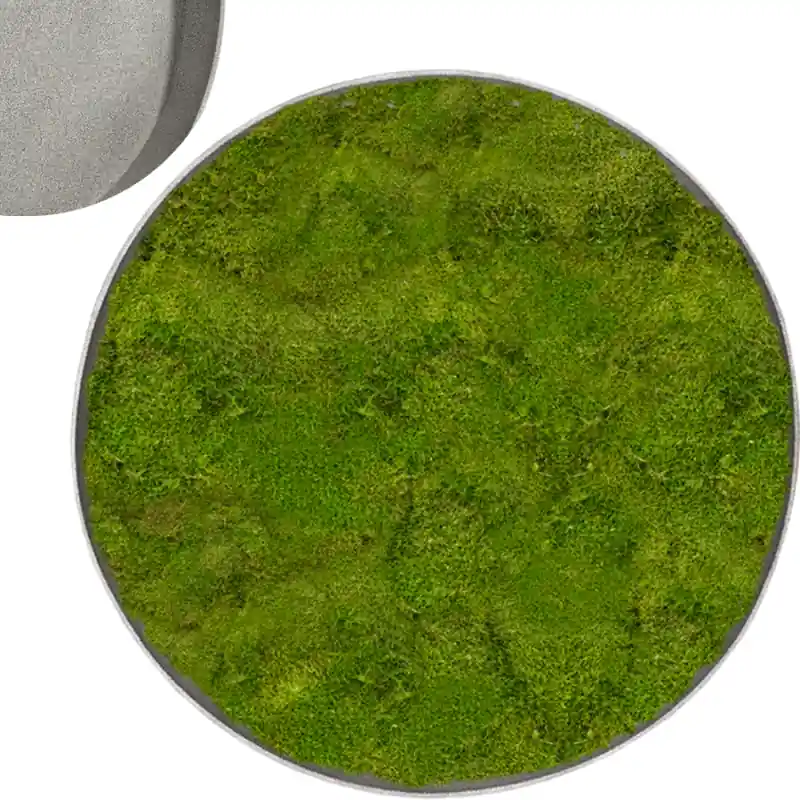 Mosschilderij Rond 100% Platmos Natural - Erg populair