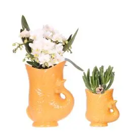 Planten duo Yona oranje - Topdeal