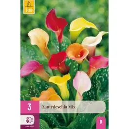 Bespaar meer | Zantedeschia Mix - 3 stuks