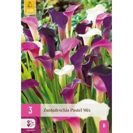 Zantedeschia Pastel Mix - 3 stuks | Topproduct