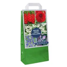 Bulbs From Holland | Premiumkwaliteit