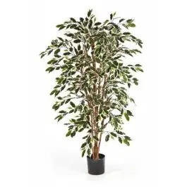 Ficus nitida variegata - kunstplant | Veel voordeel