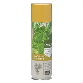 Scherpe prijs - Bladglans spray