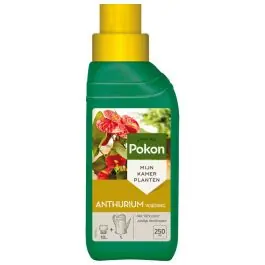 Voeding Anthurium - Laatste stuks
