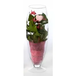 Anthurium roze in vaas Majestic | Bestel nu