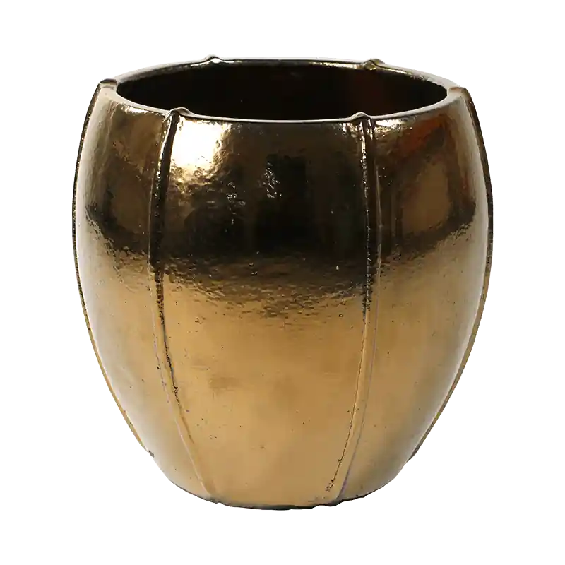 Moda Emperor Goud - Koopje