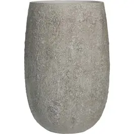Nieuw in het assortiment | Oyster Belon Wit