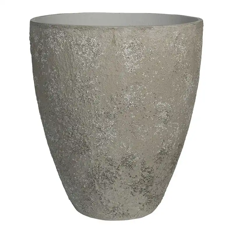 Oyster Bernd Wit - Premium