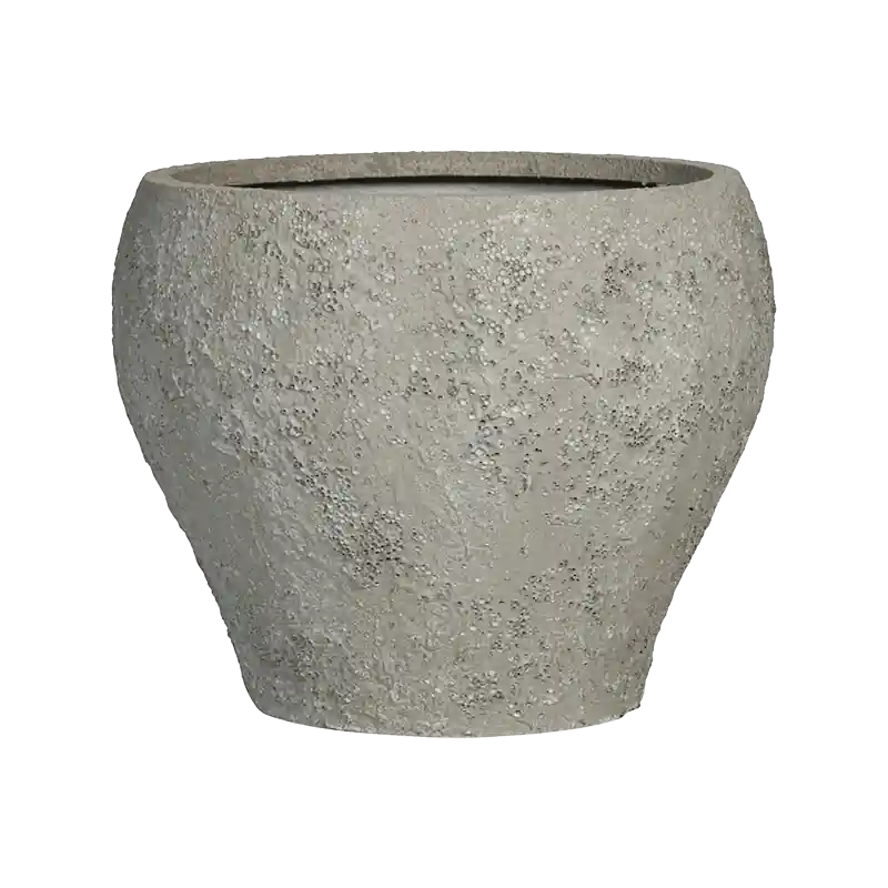 Oyster Claire Wit - Net binnen