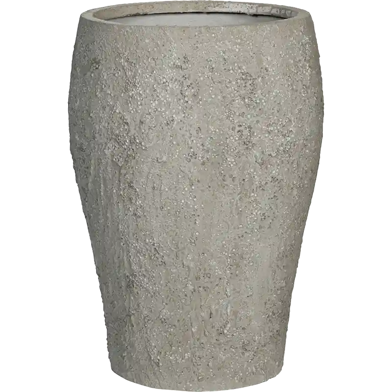 Koopje - Oyster Maraa Wit