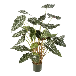 Alocasia Polly - kunstplant - Gratis retourneren