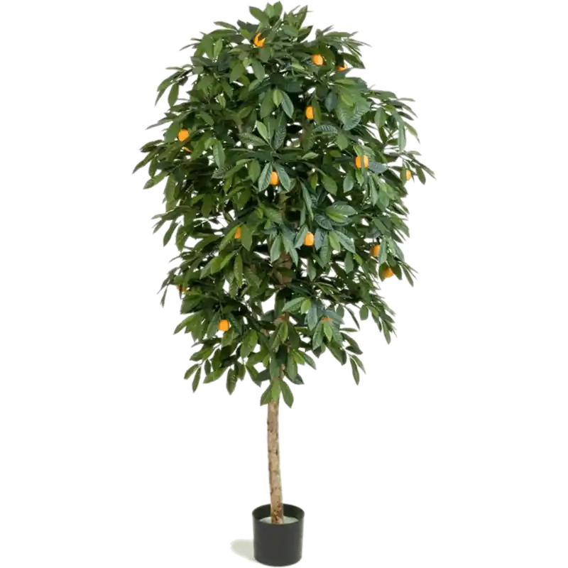 Topproduct | Citrus Mandarine - kunstplant