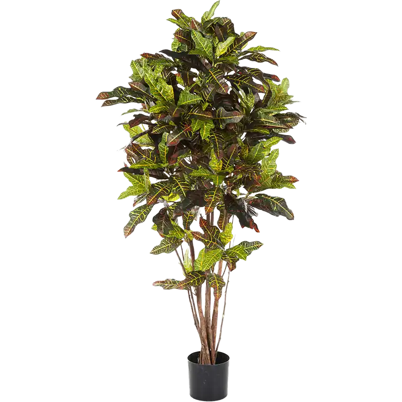 Hoog gewaardeerd - Croton Exellent - kunstplant