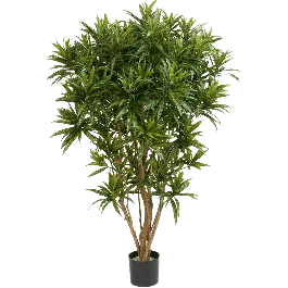 Dracaena Reflexa Jamaica - kunstplant | Alleen deze week