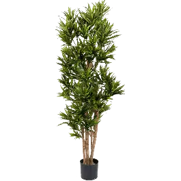 Dracaena Reflexa - kunstplant | Online bestellen