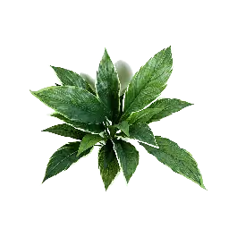 Profiteer nu | Cordyline - kunstplant