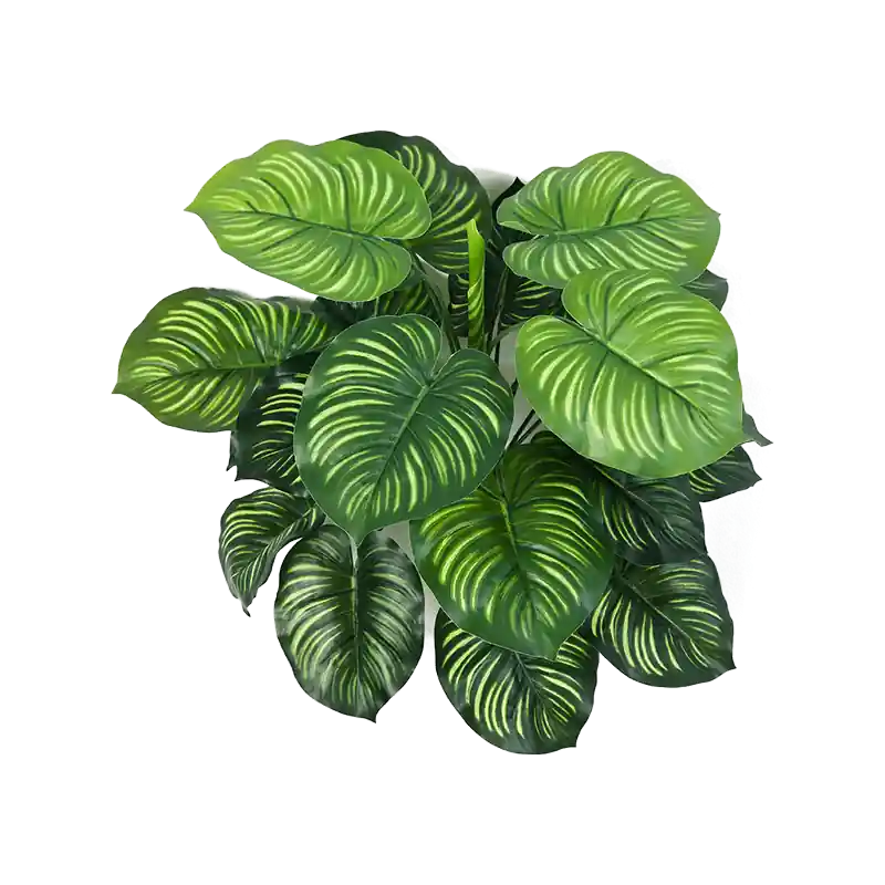 Calathea Orbifolia - kunstplant - Aanbieding loopt bijna af