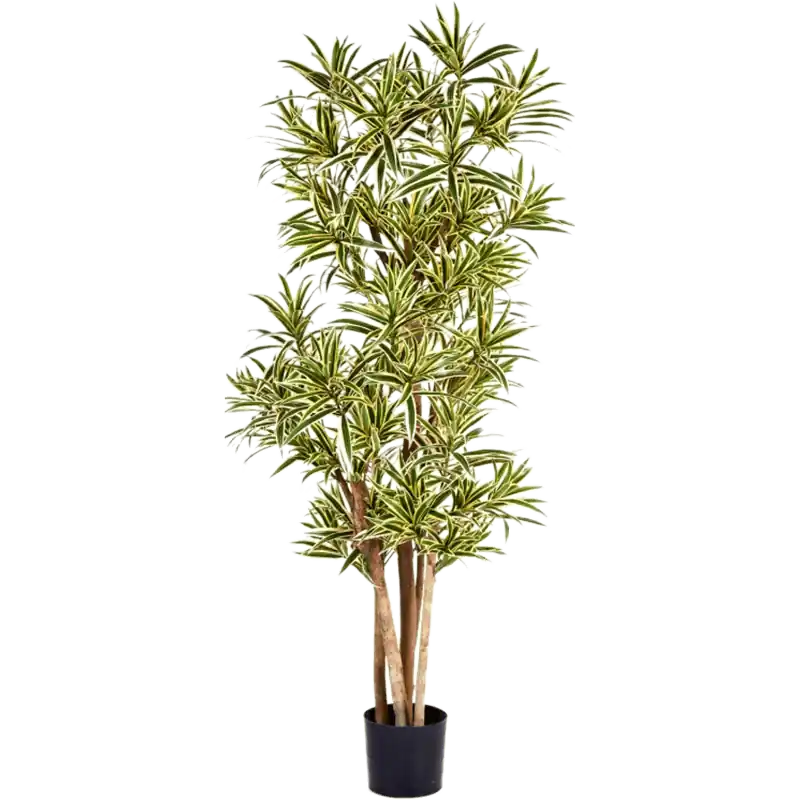 Dracaena Reflexa Yellow - kunstplant - Nog enkele stuks