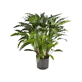 Calathea Wavestar bush - kunstplant - Extra korting