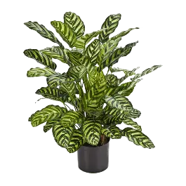 Laatste stuks - Calathea - kunstplant
