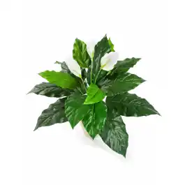Mis het niet | Spathiphyllum - kunstplant