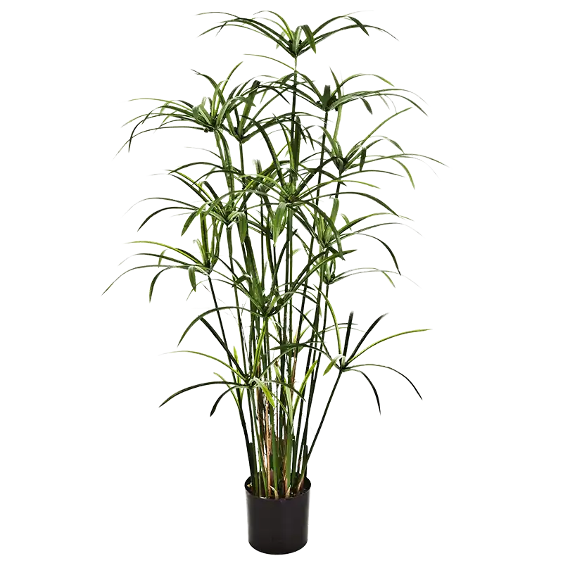 Nieuw binnengekomen | Cyperus - kunstplant